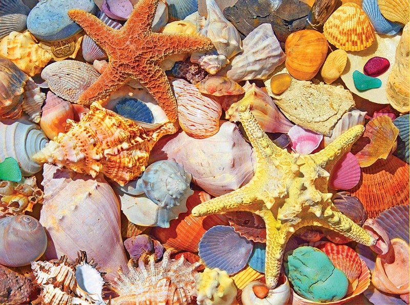 White Mountain Puzzles Beach Shells - 500 Piece Jigsaw Puzzle - Image 1